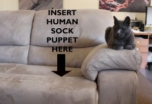 Human sock puppet Human sock puppet